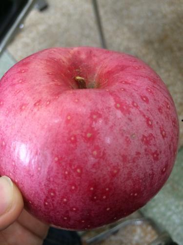 娱乐吃瓜酱密集恐惧症,娱乐吃瓜酱的惊悚之旅